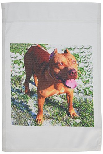 3dRose fl_1045_1 American Pit-Bull Garden Flag, 12 by 18-Inch