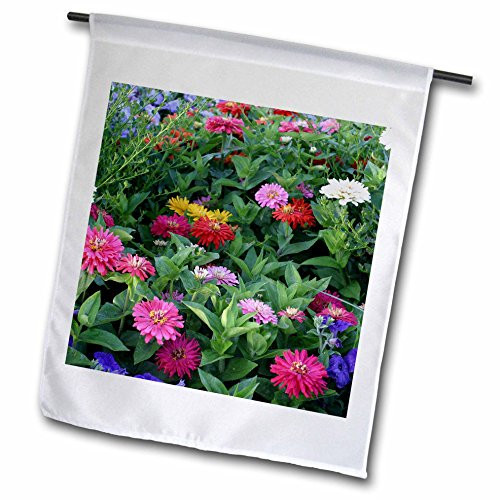 3dRose fl_3145_1 Zinnias, Garden Flag, 12 by 18-Inch 3dRose fl_3145_1 Zinnias, Garden Flag, 12 by 18-Inch