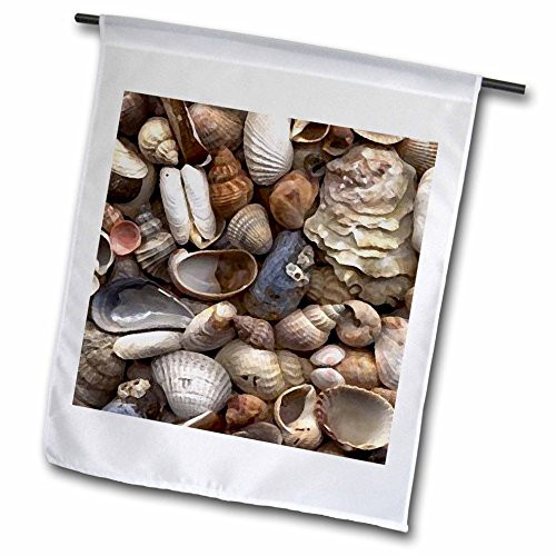 3dRose fl_4381_1 Sea Shells, Garden Flag, 12 by 18-Inch