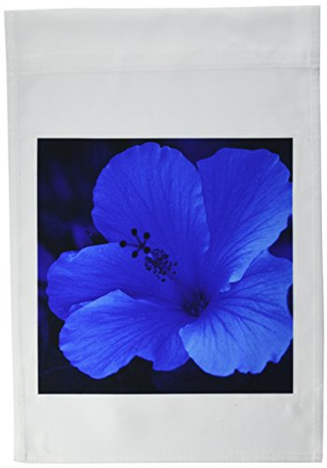 3dRose fl_7817_1 Big Blue Hibiscus Garden Flag, 12 by 18-Inch 3dRose fl_7817_1 Big Blue Hibiscus Garden Flag, 12 by 18-Inch