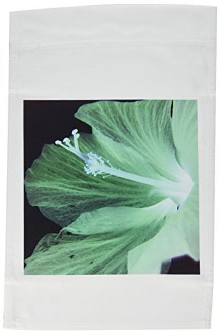 3dRose fl_7844_1 Hibiscus Envy Garden Flag, 12 by 18-Inch 3dRose fl_7844_1 Hibiscus Envy Garden Flag, 12 by 18-Inch