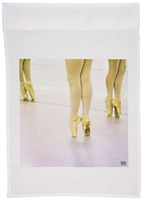 3dRose fl_10042_1 Young Ballet Students Train at The Ballet School Garden Flag, 12 by 18-Inch 3dRose fl_10042_1 Young Ballet Students Train at The Ballet School Garden Flag, 12 by 18-Inch