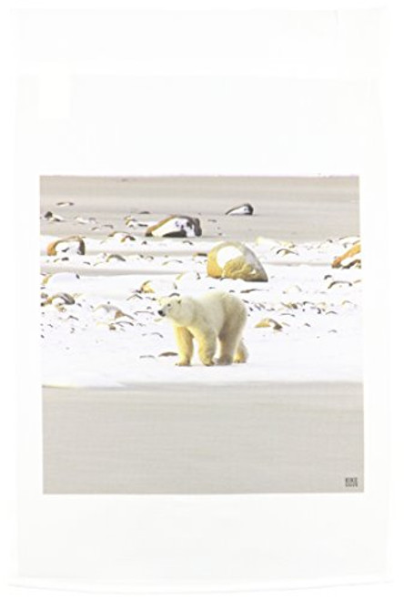 3dRose fl_10718_1 Polar Bears Garden Flag, 12 by 18-Inch 3dRose fl_10718_1 Polar Bears Garden Flag, 12 by 18-Inch