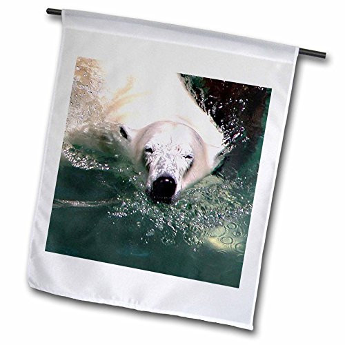 3dRose fl_12206_1 Cool Polar Bear Garden Flag, 12 by 18-Inch 3dRose fl_12206_1 Cool Polar Bear Garden Flag, 12 by 18-Inch