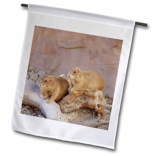 3dRose fl_17160_1 Groundhog Day Garden Flag, 12 by 18-Inch