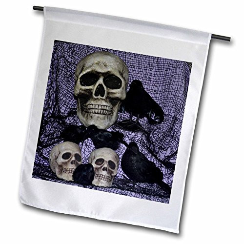 3dRose Fl_27278_1 Skull and Ravens Skulls with Ravens by Them Garden Flag, 12 by 18-Inch 3dRose Fl_27278_1 Skull and Ravens Skulls with Ravens by Them Garden Flag, 12 by 18-Inch
