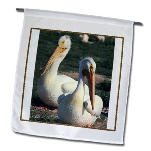 3dRose fl_34914_1 Garden Flag, 12 by 18-Inch, White Pelicans