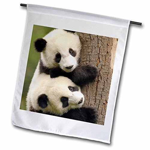 3dRose fl_70216_1 Giant Panda Bears, Wolong China Conservation, China AS07 POX0412 Pete Oxford Garden Flag, 12 by 18-Inch