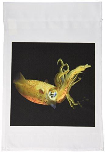 3dRose fl_80260_1 Deep Sea Squid Garden Flag, 12 by 18-Inch