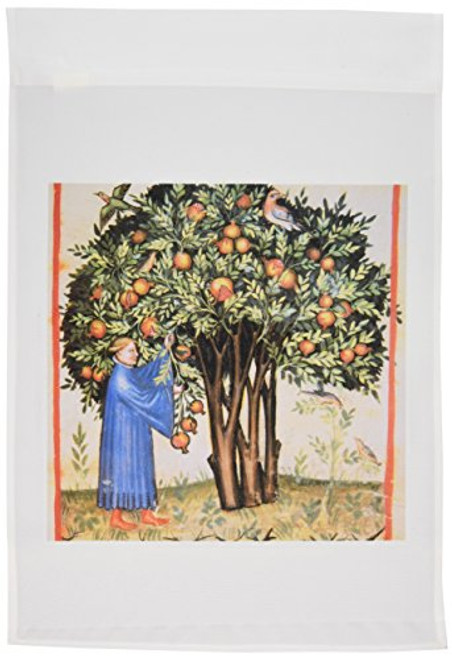 3dRose fl_83099_1 Tacuinum Sanitatis, Medieval Health, Illustration-HI13 PRI0230-Prisma Garden Flag, 12 by 18-Inch 3dRose fl_83099_1 Tacuinum Sanitatis, Medieval Health, Illustration-HI13 PRI0230-Prisma Garden Flag, 12 by 18-Inch