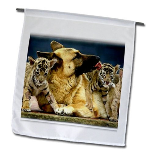 3dRose fl_101071_1 Precious Photo of German Shepard Licking Tiger Kitten Garden Flag, 12 by 18-Inch