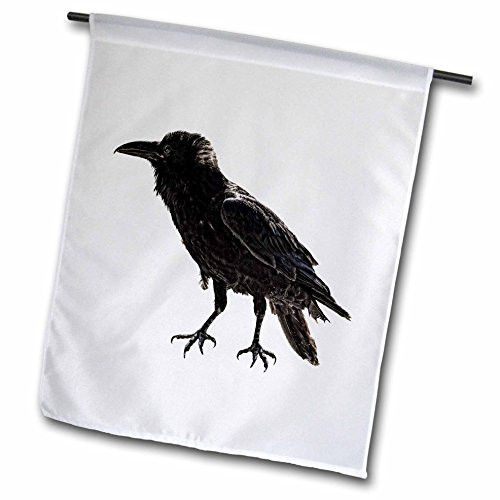 3dRose fl_127523_1 Garden Flag, 12 by 18-Inch, Raven 3dRose fl_127523_1 Garden Flag, 12 by 18-Inch, Raven