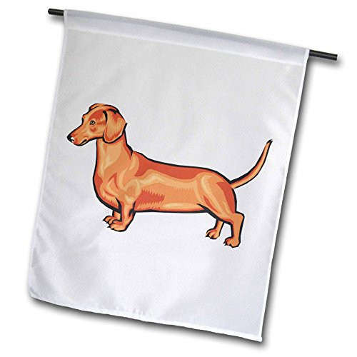3dRose fl_128982_1 Cute and Cuddly Canine Dachshund Garden Flag, 12 by 18-Inch
