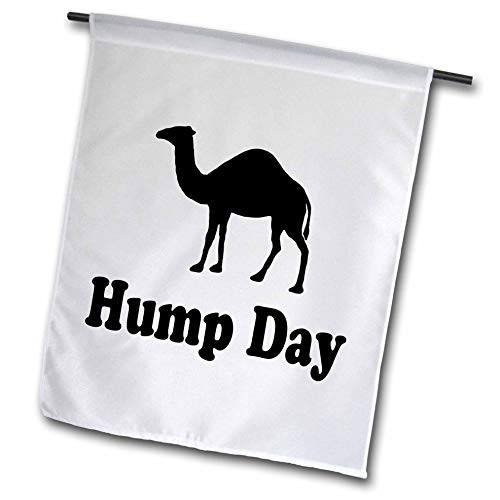3dRose fl_159637_1 Hump Day Camel Wednesday Garden Flag, 12 by 18-Inch
