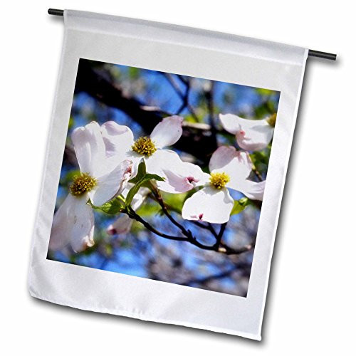 3dRose fl_182250_1 Dogwood Flow is a Branch Filled with Dogwood Blossoms Garden Flag, 12 by 18-Inch