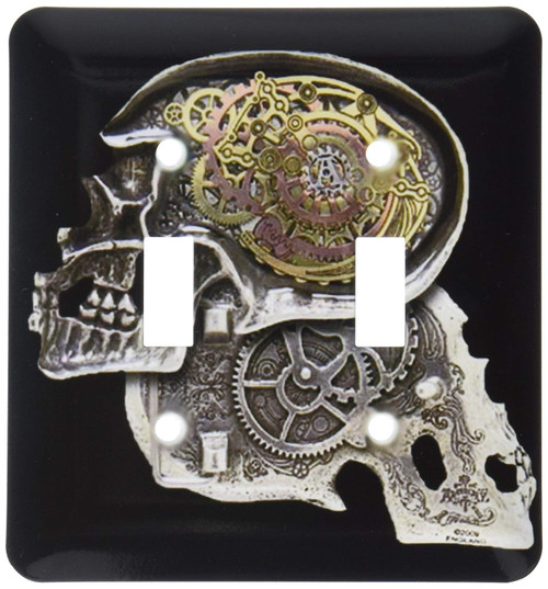 3dRose lsp_102675_2 Steampunk Gothic Faux Metal Skull Image Double Toggle Switch