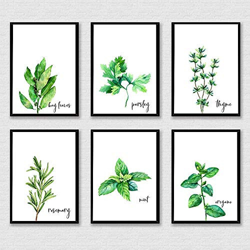 Thyme Rosemary Parsley Print, Botanical Herbs Prints, Basil Kitchen Decor, Mint Herbs Poster, Watercolor Eucalyptus Print Set of 6-8x10  Unframed