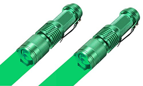 WAYLLSHINE (Pack of 2) Single Mode Green LED Flashlight, Mini Green Light Flashlight, 1 Mode LED Flashlight Green Light, Green Flashlight Torch For Night Observation WAYLLSHINE (Pack of 2) Single Mode Green LED Flashlight, Mini Green Light Flashlight, 1 Mode LED Flashlight Green Light, Green Flashlight Torch For Night Observation