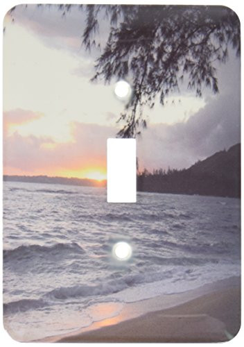3dRose Lsp_23629_1 Hawaii Sunset Single Toggle Switch