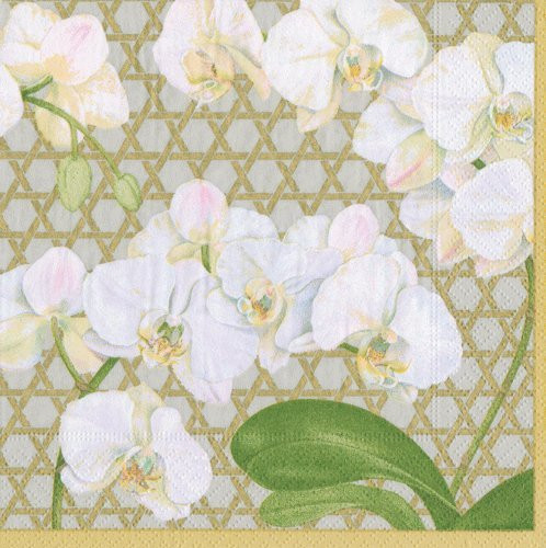 Entertaining with Caspari 14030L Winter Whites Silver Napkin Luncheon, Multicolor