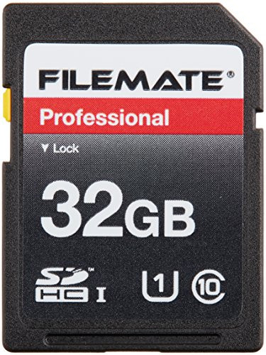 Wintec 3FMSD32GBC10-R Filemate 32 GB Professional Class 10 Secure Digital SDHC Card