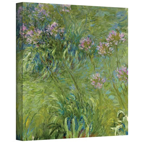 ArtWall Agapanthus 2 Gallery Wrapped Canvas by Claude Monet, 14 by 18-Inch