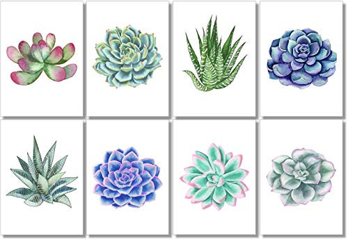 Succulent Wall Art Prints (Set of 8) - 5x7 - Unframed - Botanical Print - Cactus Decor