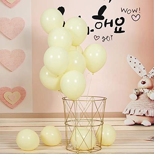Pastel Balloons 100PCS 10 Inch Pastel Color Balloons, Assorted Macaron Candy Colored Latex Party Balloons for Wedding Birthday Baby Shower Party Decor Supplies Arch Balloon Tower Balloon Garland (Yellow) Pastel Balloons 100PCS 10 Inch Pastel Color Balloons, Assorted Macaron Candy Colored Latex Party Balloons for Wedding Birthday Baby Shower Party Decor Supplies Arch Balloon Tower Balloon Garland (Yellow)