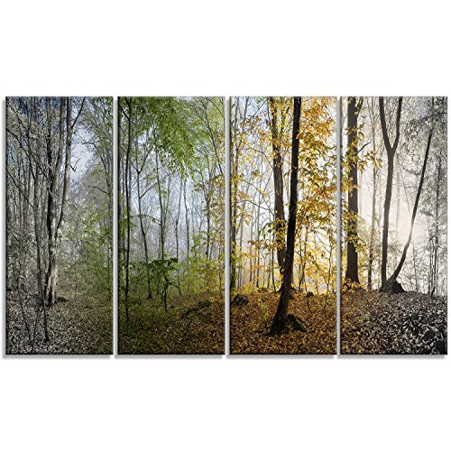 Designart Morning Forest Panoramic View-Landscape Photo Canvas Print-48x28-4 Panels, 28'' H x 48'' W x 1'' D 4P, Yellow
