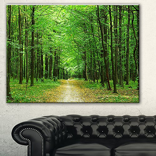 Designart PT8333-20-12 Pathway in Green Forest Landscape Photo Canvas Print 12" H x 20" W x 1" D 1P Designart PT8333-20-12 Pathway in Green Forest Landscape Photo Canvas Print 12" H x 20" W x 1" D 1P