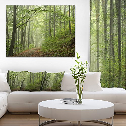 Designart PT9741-20-12 Early Green Fall Forest Landscape Photo Canvas Art Print 12" H x 20" W x 1" D 1P Designart PT9741-20-12 Early Green Fall Forest Landscape Photo Canvas Art Print 12" H x 20" W x 1" D 1P