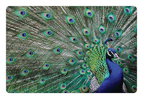 Lunarable Peacock Pet Mat for Food and Water, Peacock Displaying Elongated Majestic Feathers Open Wings Picture, Rectangle Non-Slip Rubber Mat for Dogs and Cats, Navy Blue Green Pale Brown