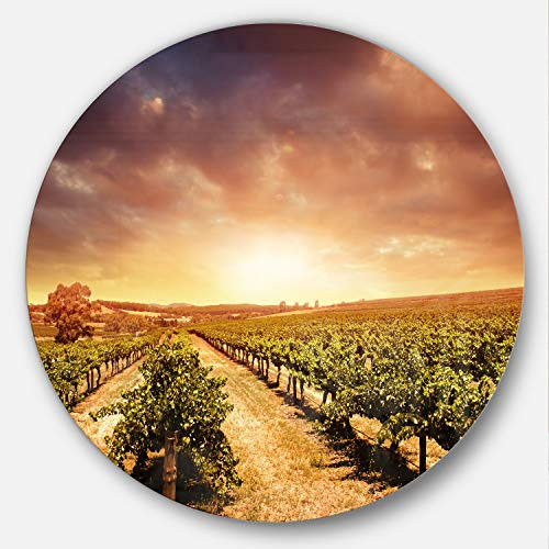 Designart Vineyard with Stormy Sunset Circle Landscape Wall Art Disc of 38 inch, 38x38-Disc, Blue/Orange