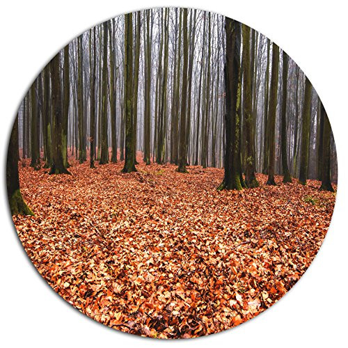 Designart Enchanted and Magical Fall Modern Forest Metal Artwork- Disc of 23, 23'' H x 23'' W x 1'' D 1P, Brown Designart Enchanted and Magical Fall Modern Forest Metal Artwork- Disc of 23, 23'' H x 23'' W x 1'' D 1P, Brown