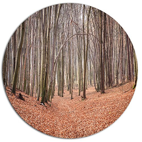 Designart Leaves in The Thick Fall Forest Large Metal Wall Art- Disc of 23, 23'' H x 23'' W x 1'' D 1P, Brown Designart Leaves in The Thick Fall Forest Large Metal Wall Art- Disc of 23, 23'' H x 23'' W x 1'' D 1P, Brown
