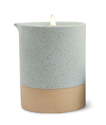 Paddywax Candles Mesa Collection Scented Ceramic Candle, 10-Ounce, Cactus Flower & Matcha