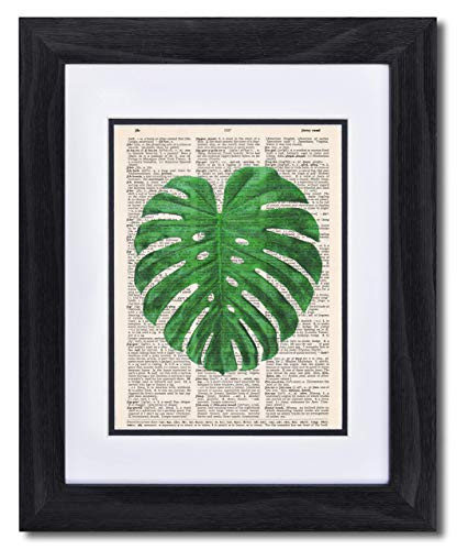 Dictionary Art Print - Monstera - Vintage Dictionary Print 8x10 inch Home Vintage Art Wall Art for Home Decor Wall Decorations