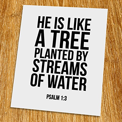 Psalm 1: 3 He is like a tree Print (Unframed), Scripture Art, Bible Verse Print, Christian Wall Art, Word of Wisdom, Black and White, 8x10", TC-015