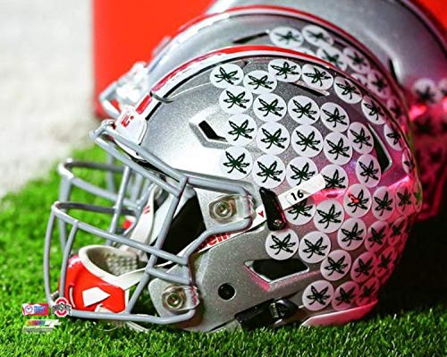 Ohio State Buckeyes NCAA Helmet Photo (Size: 8" x 10")