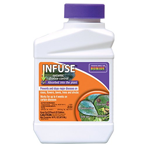 Bonide PRODUCTS INC 037321001485 148 Infuse System Fungicide, Pint, 1, BRNSTBLSUP