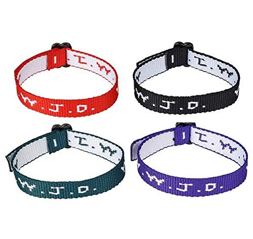 Rhode Island Novelty W.W.J.D. Webbing Bracelets Set of 48