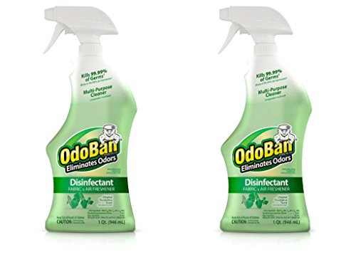 OdoBan Ready-to-Use 32 oz Spray, 2 Bottles, Original Eucalyptus Scent - Odor Eliminator, Disinfectant, Flood Fire Water Damage Restoration
