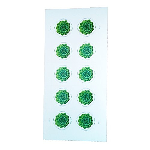 Green Succulent Sheet of 10 Global First Class International Forever Postage Stamps (1)