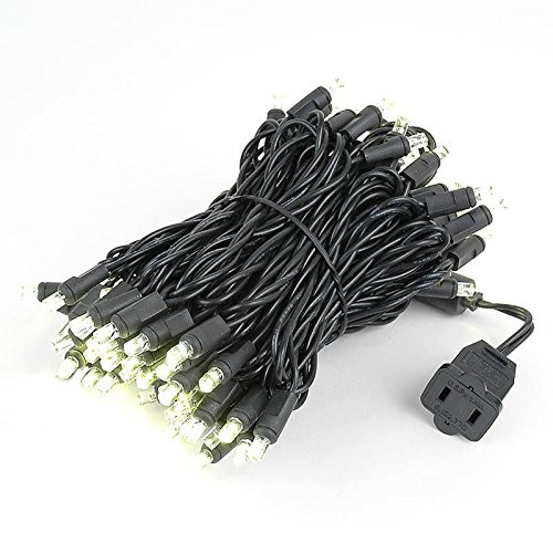 Novelty Lights 100 Light LED Christmas Mini Light Set, Outdoor Lighting Party Patio String Lights, Warm White, Black Wire, 34 Feet