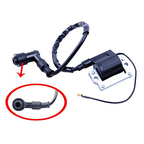 FLYPIG Ignition Coil for Honda Z50 Z 50R 1972 1973 1974 1975 1976 1977 1978 1979-1985 FLYPIG Ignition Coil for Honda Z50 Z 50R 1972 1973 1974 1975 1976 1977 1978 1979-1985