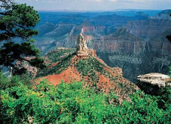 Grand Canyon - North Rim 550 Piece Puzzle by American Puzzles