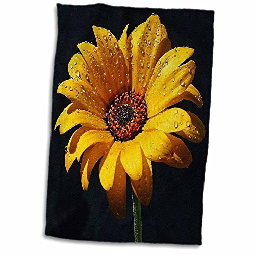 3D Rose Dew On Sunflower Against Black Backdrop.Jpg Hand/Sports Towel 15 x 22