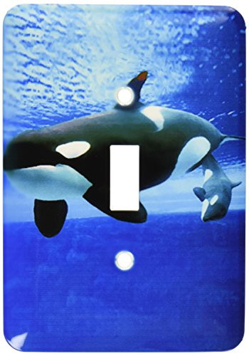3dRose lsp_5728_1 Killer Whales Single Toggle Switch