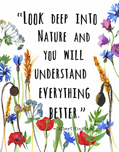 Wall Art Print by ArtDash ~ ALBERT EINSTEIN quote w/ Wildflowers: 'Look Deep into Nature....' (8"×10")