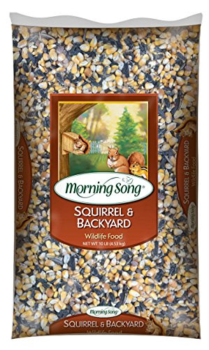 Morning Song 11995 Squirrel and Backyard Wildlife Food, 10-Pound